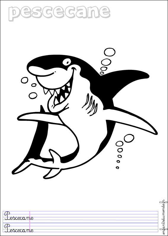 coloriage requin 1